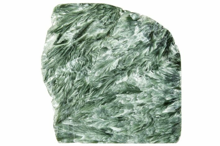 Polished Seraphinite Section - Korshunovkiy Mine, Siberia #314966